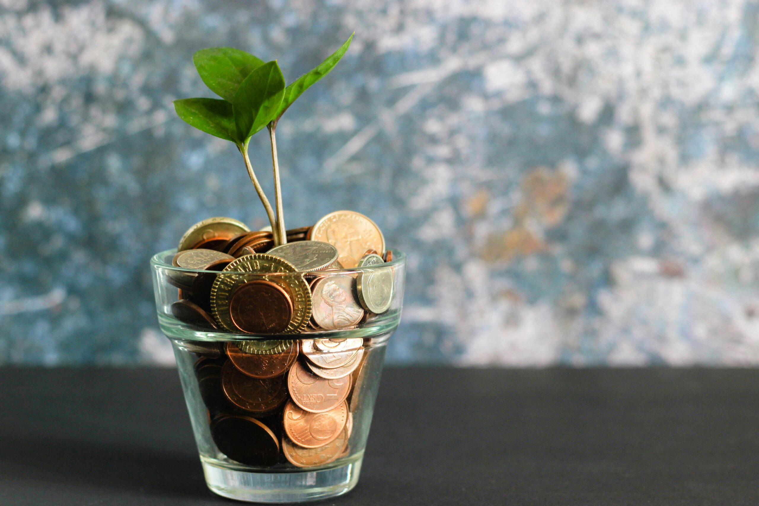 financial security